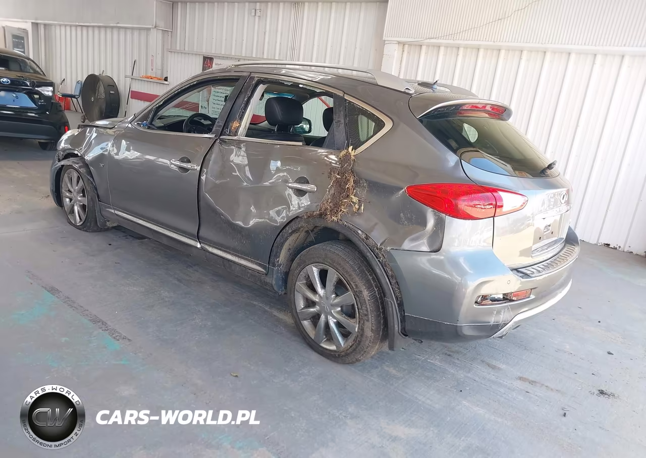 2016 Infiniti Qx50 VIN:JN1BJ0RP4GM232354 - 3