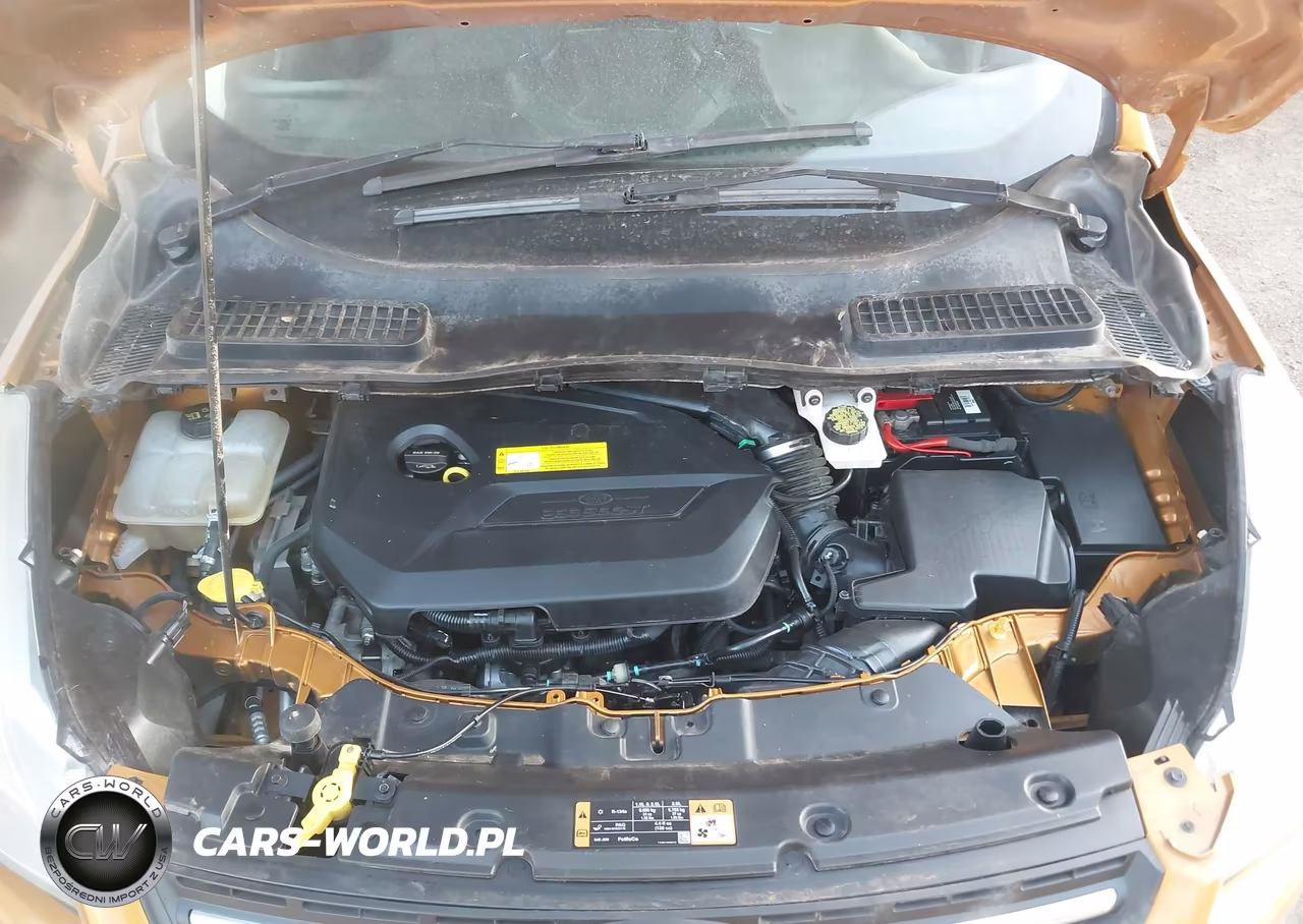 2016 Ford Escape Se VIN:1FMCU9GX7GUC31243 - 10