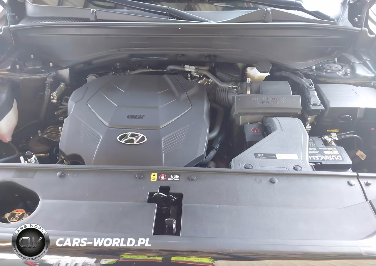 2023 Hyundai Palisade Sel VIN:KM8R44GE1PU543487 - 10
