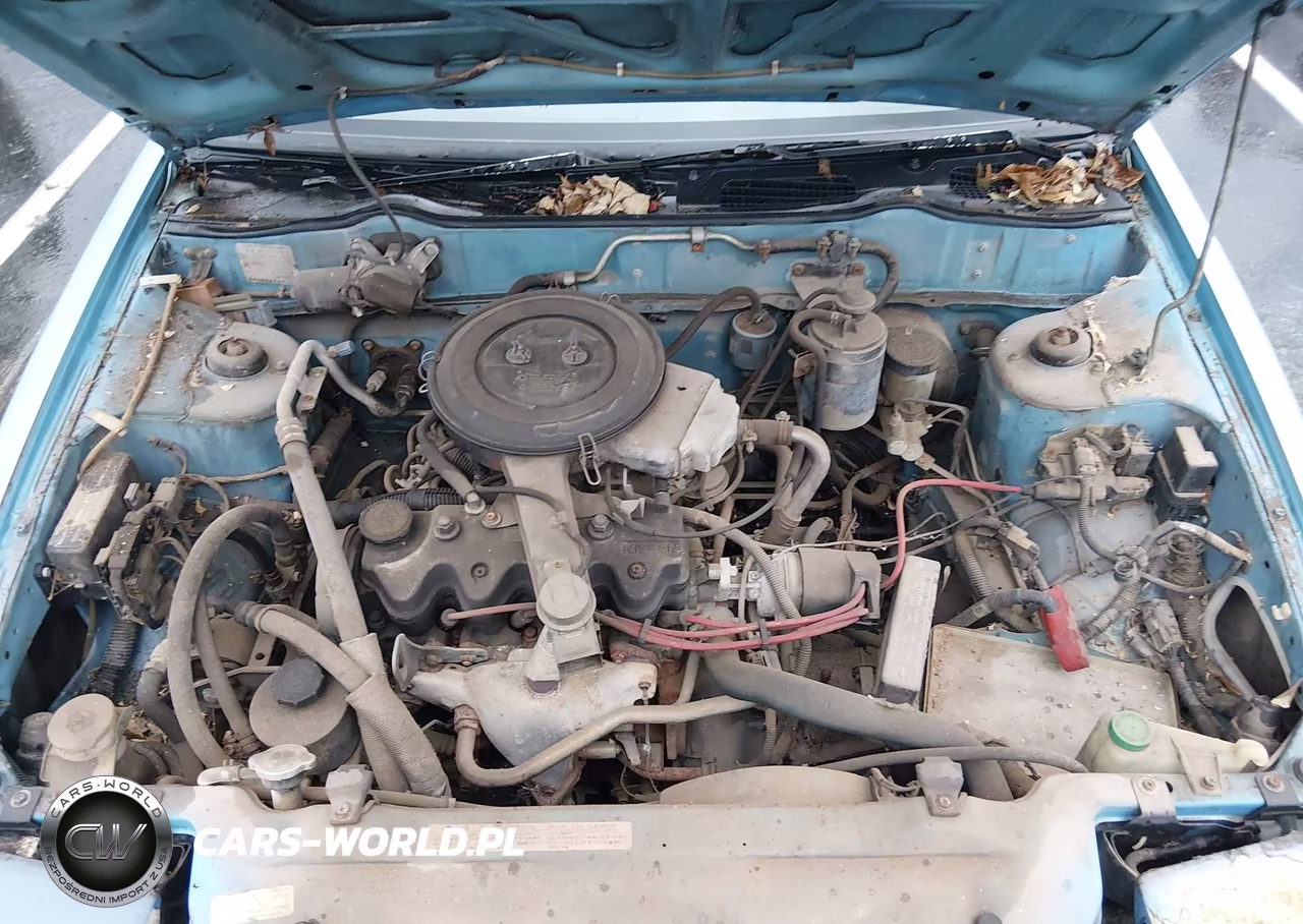 1988 Nissan Pulsar Nx Xe VIN:JN1PN34S5JM018794 - 10