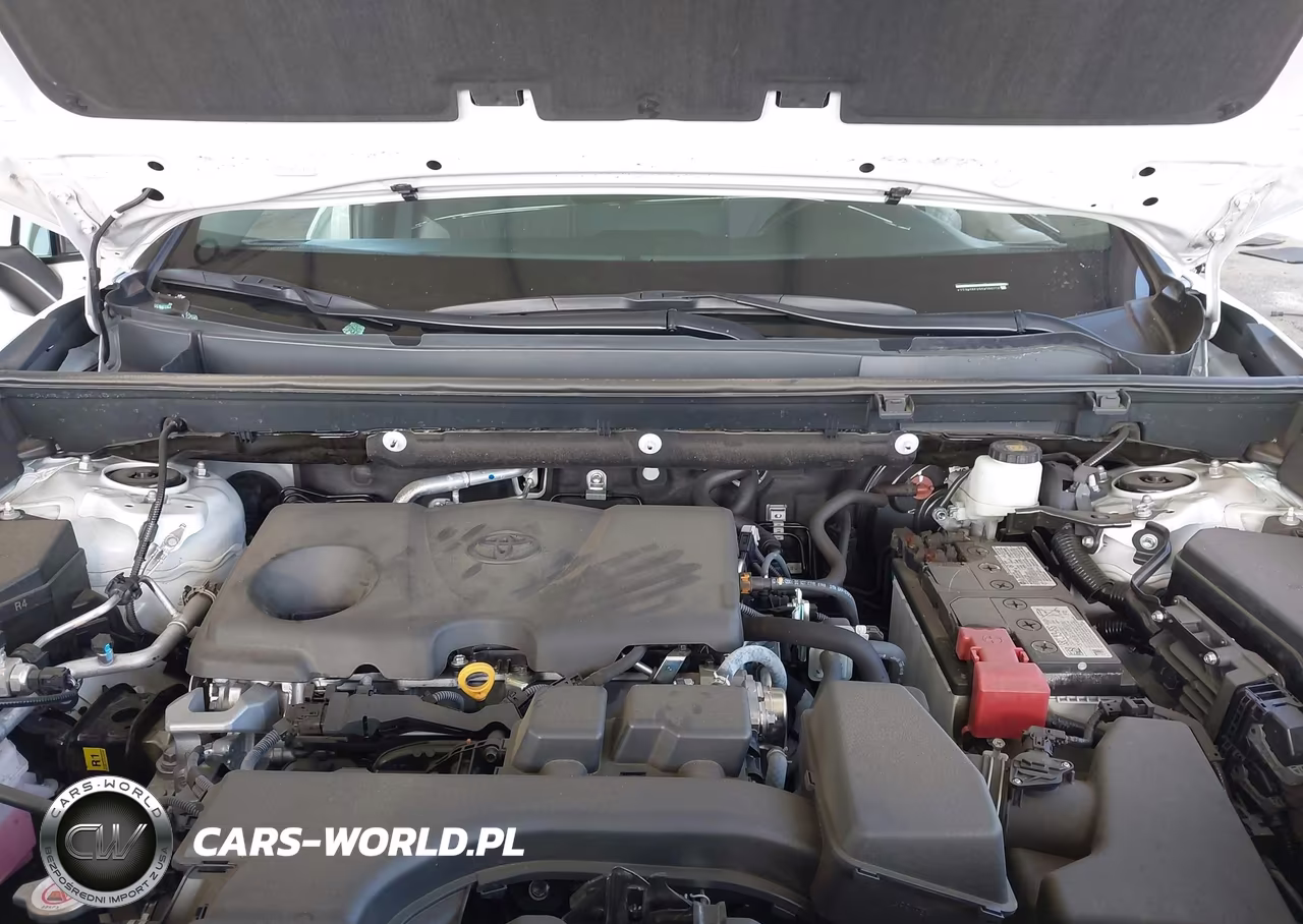 2025 Toyota Rav4 Xle VIN:2T3W1RFV9SW399276 - 10