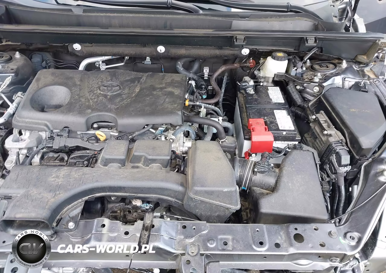 2023 Toyota Rav4 Xle VIN:2T3W1RFV6PC245424 - 10