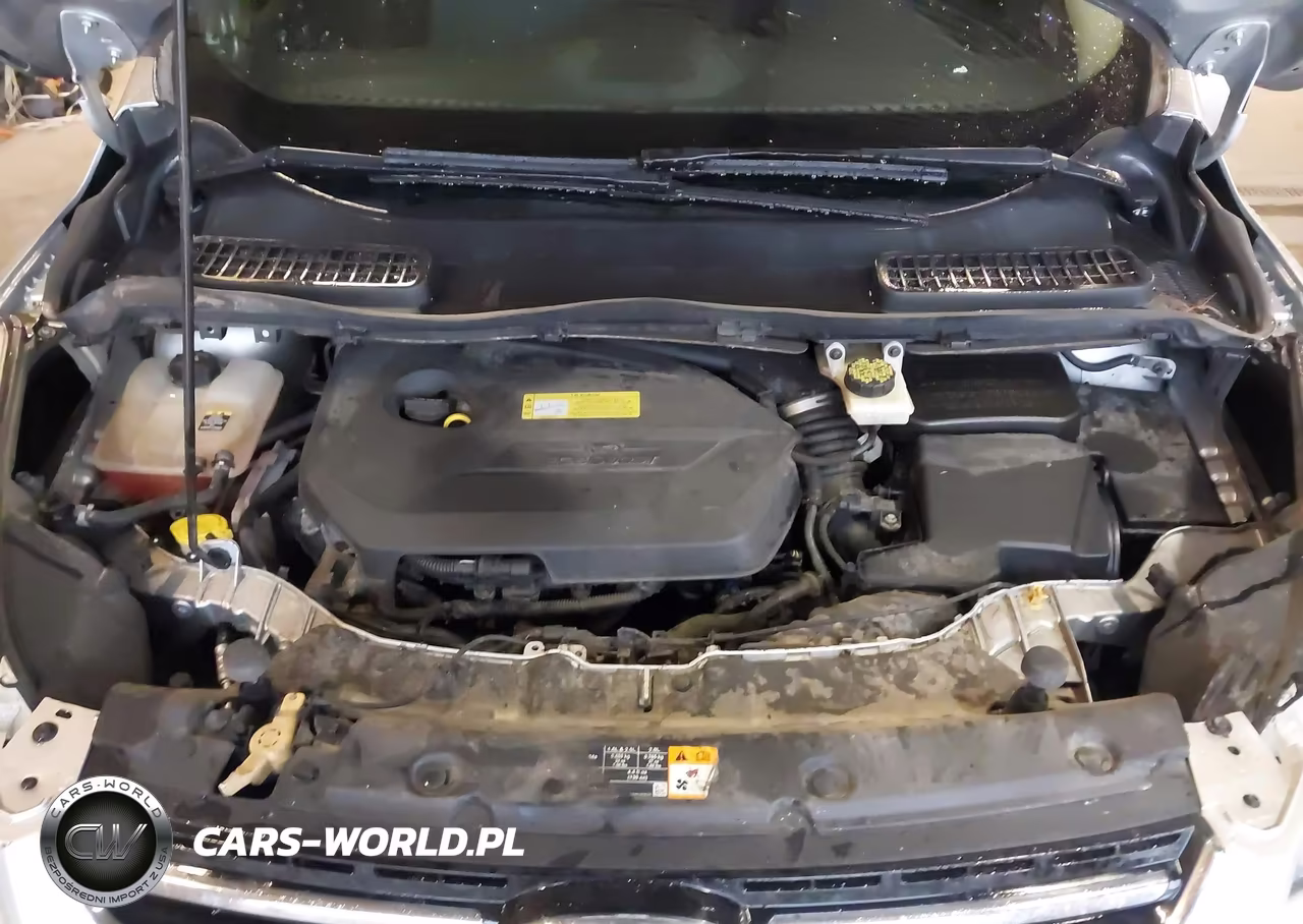 2013 Ford Escape Se VIN:1FMCU9GX0DUA03824 - 10