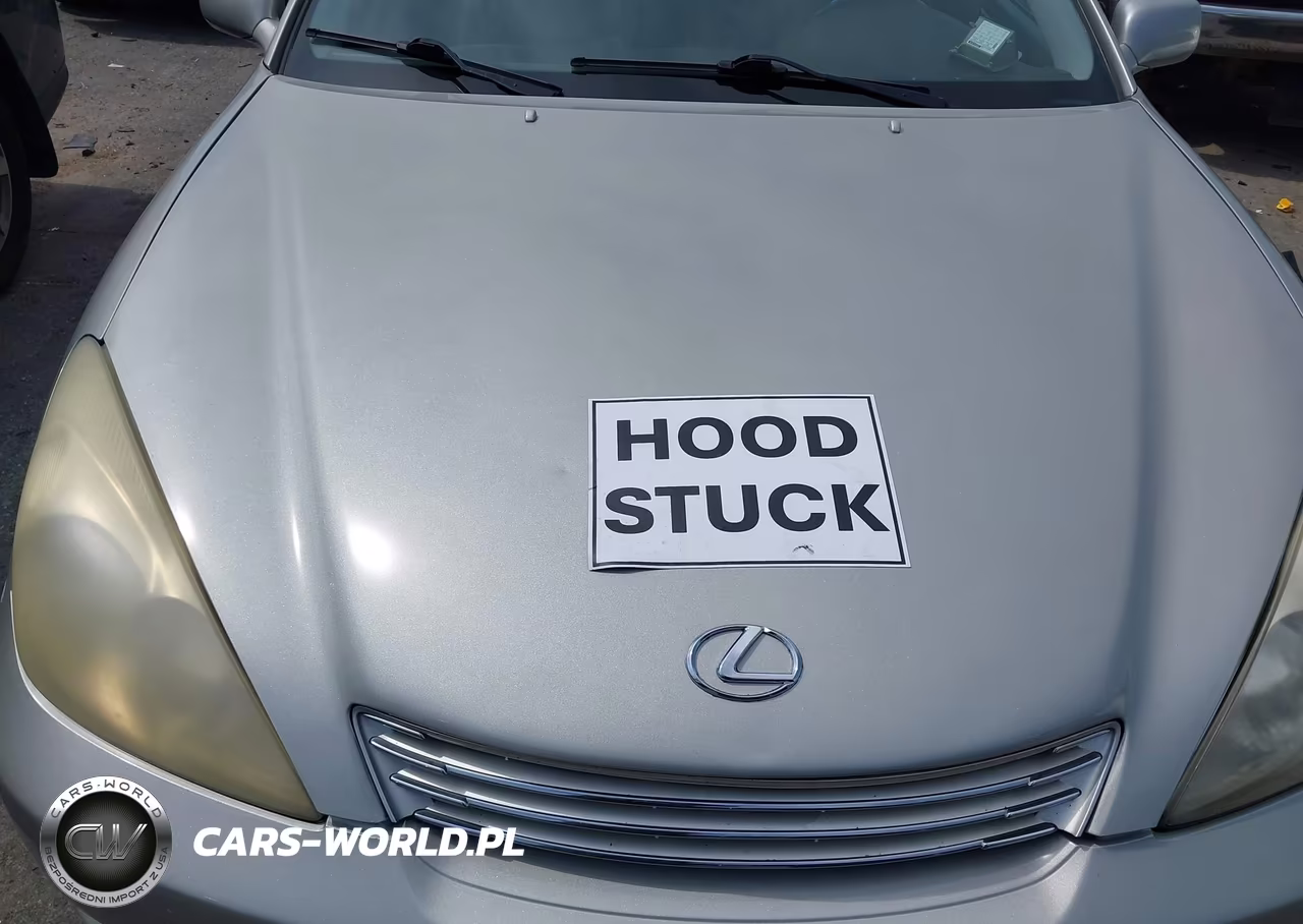 2004 Lexus Es 330 VIN:JTHBA30G545006825 - 10