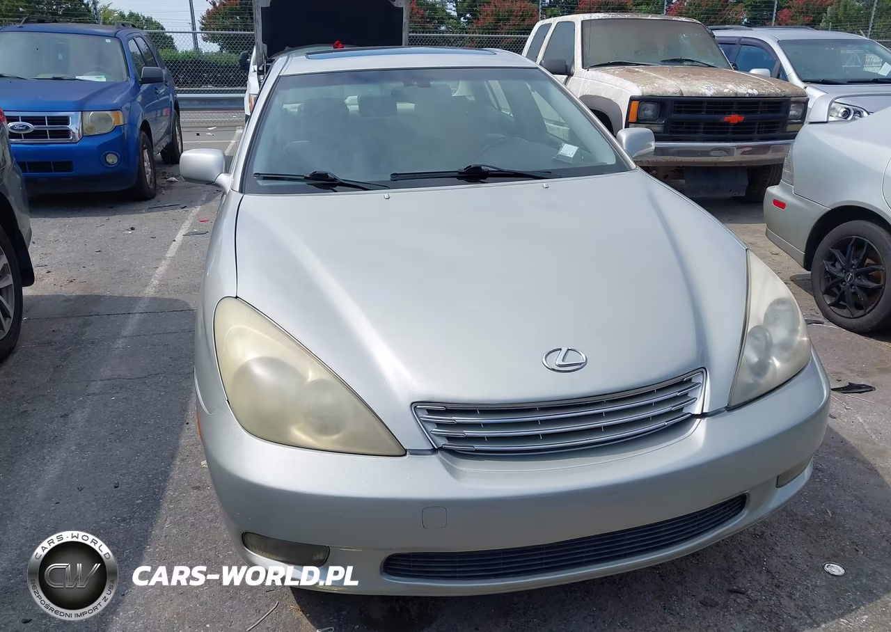 2004 Lexus Es 330 VIN:JTHBA30G545006825 - 6