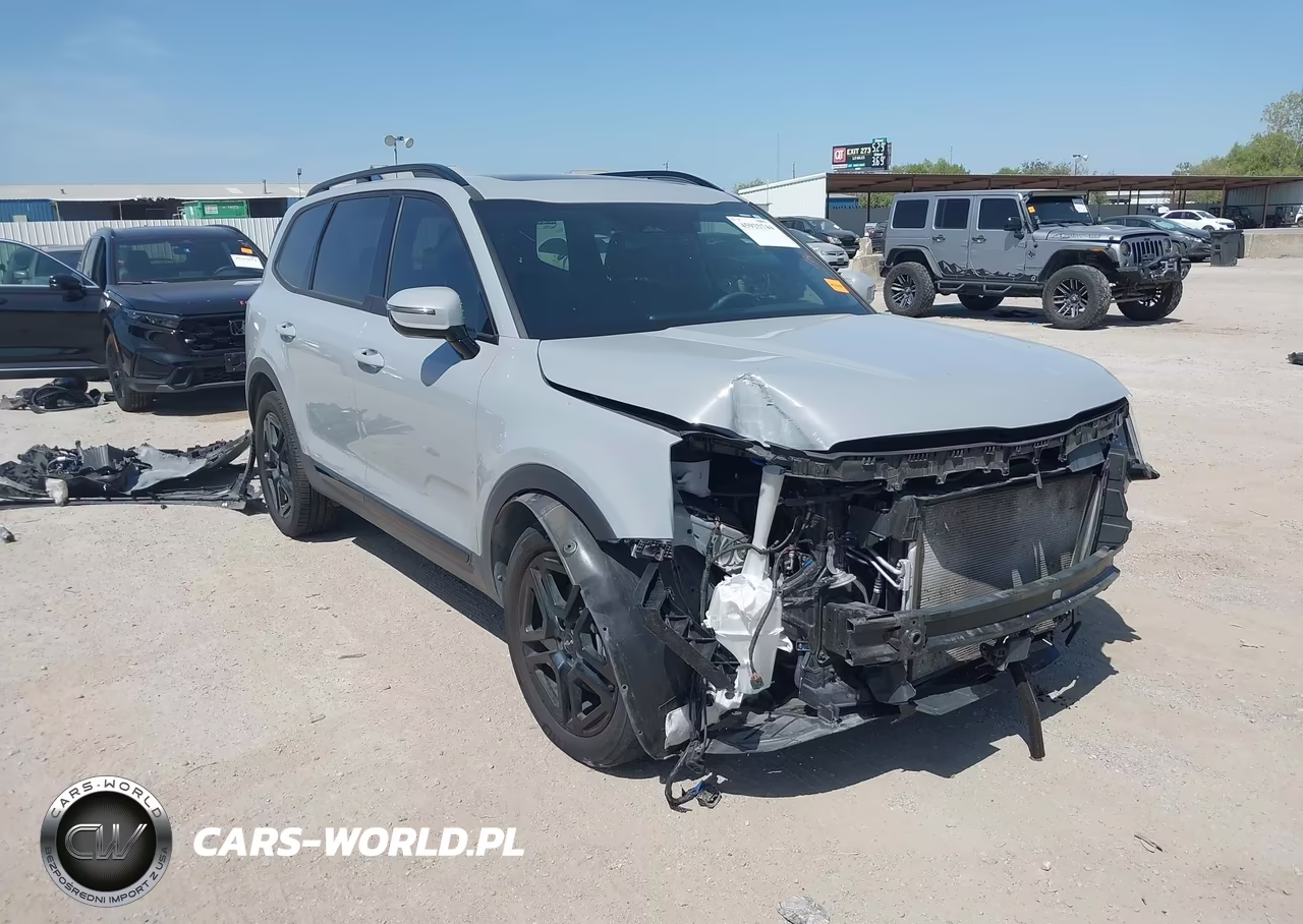 2024 Kia Telluride Sx X-Line VIN:5XYP5DGC1RG540729 - 1