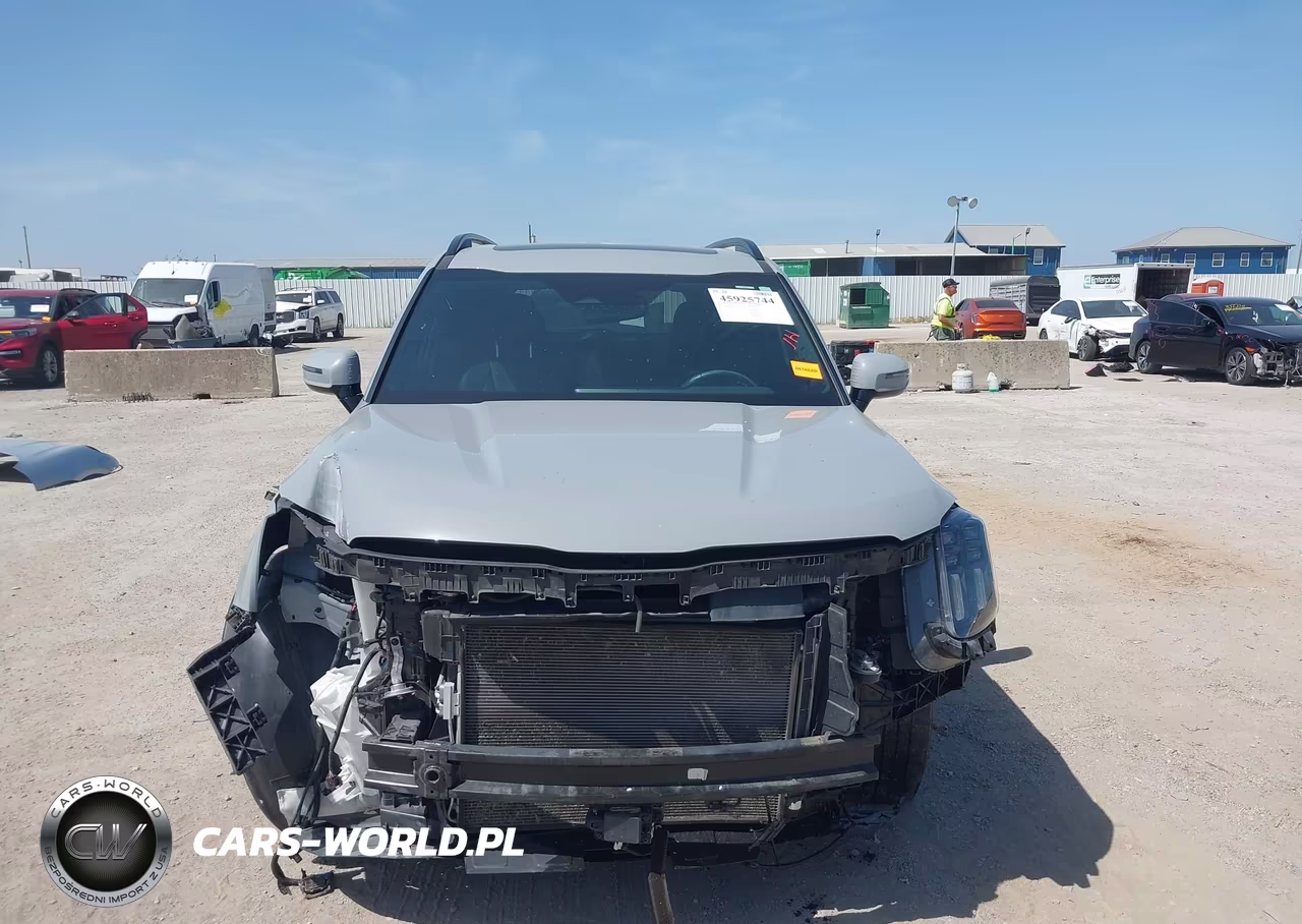 2024 Kia Telluride Sx X-Line VIN:5XYP5DGC1RG540729 - 13