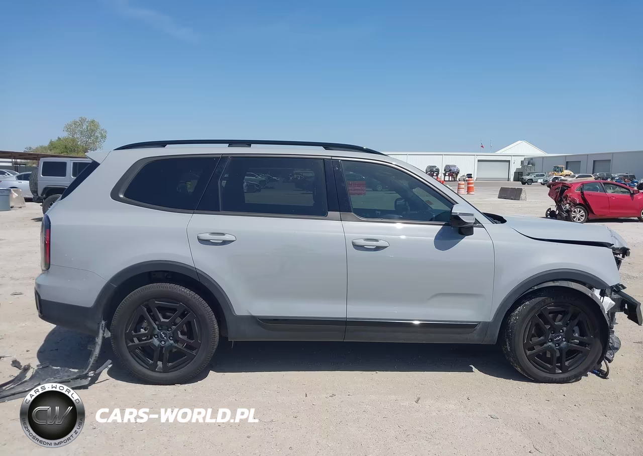 2024 Kia Telluride Sx X-Line VIN:5XYP5DGC1RG540729 - 14