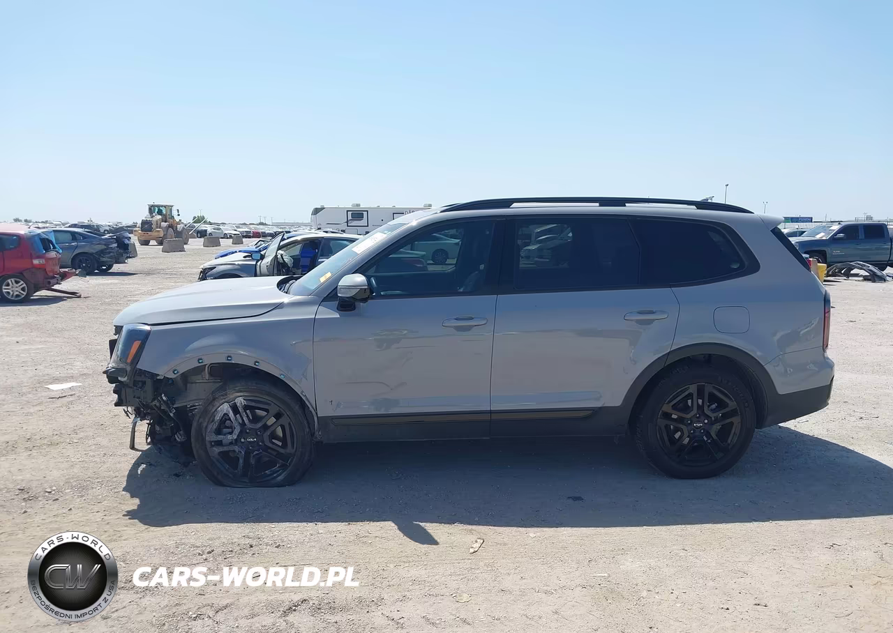 2024 Kia Telluride Sx X-Line VIN:5XYP5DGC1RG540729 - 15