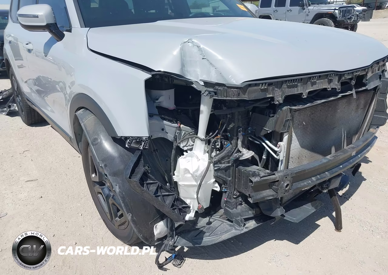 2024 Kia Telluride Sx X-Line VIN:5XYP5DGC1RG540729 - 18