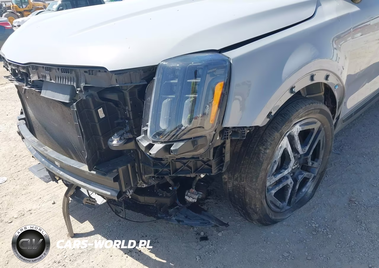 2024 Kia Telluride Sx X-Line VIN:5XYP5DGC1RG540729 - 19