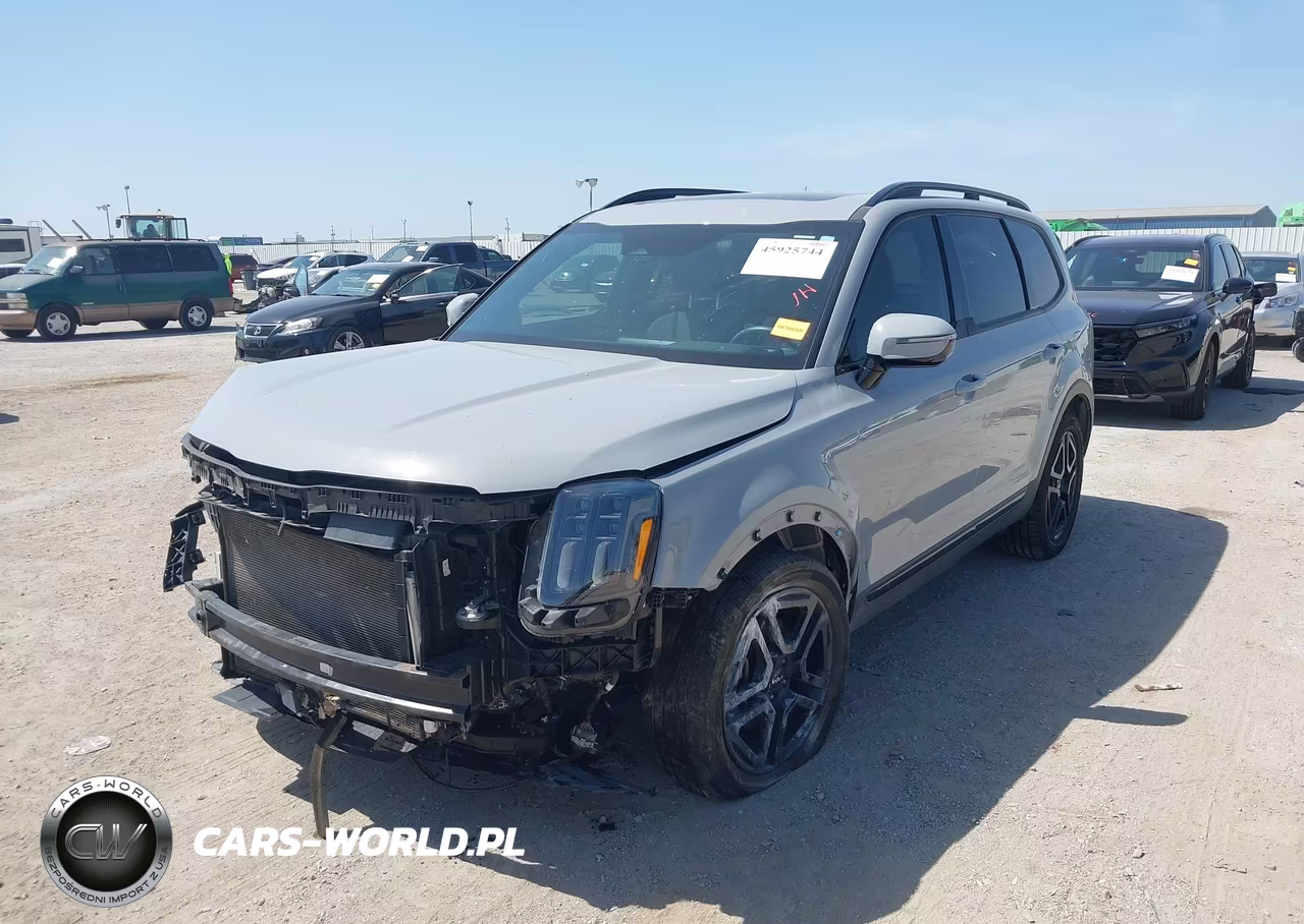 2024 Kia Telluride Sx X-Line VIN:5XYP5DGC1RG540729 - 2