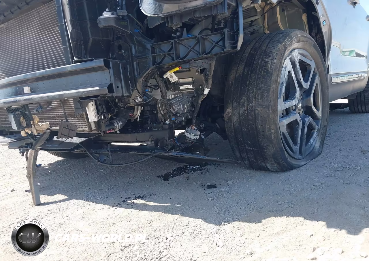 2024 Kia Telluride Sx X-Line VIN:5XYP5DGC1RG540729 - 20