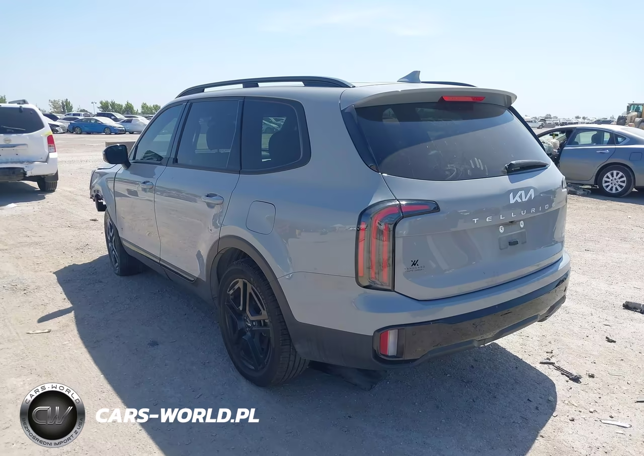 2024 Kia Telluride Sx X-Line VIN:5XYP5DGC1RG540729 - 3