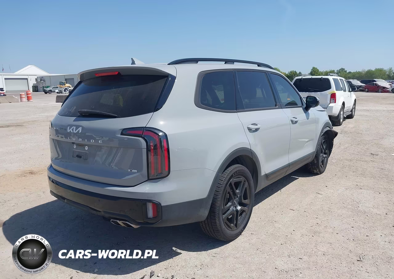 2024 Kia Telluride Sx X-Line VIN:5XYP5DGC1RG540729 - 4