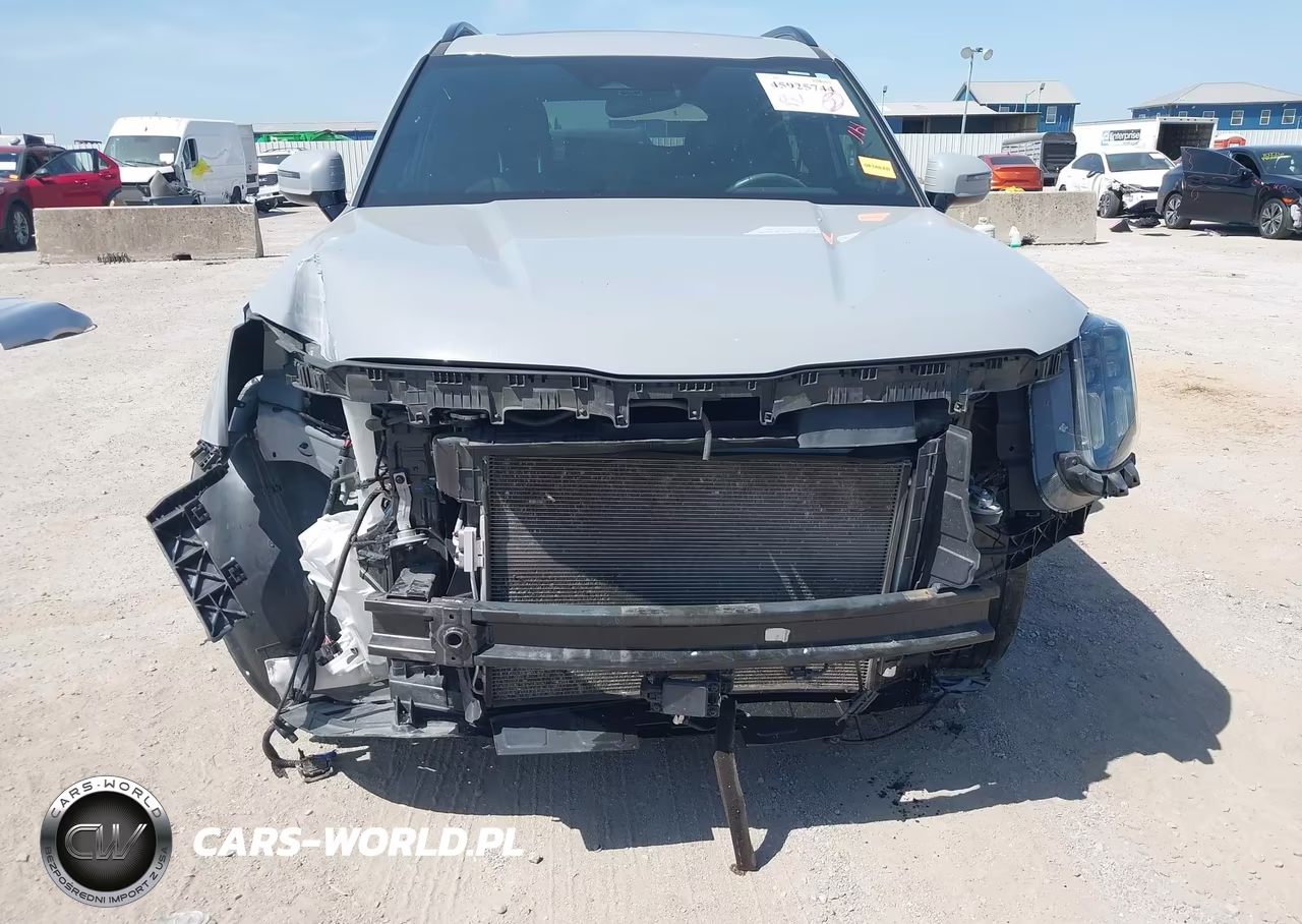 2024 Kia Telluride Sx X-Line VIN:5XYP5DGC1RG540729 - 6