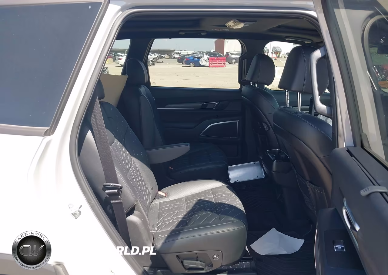 2024 Kia Telluride Sx X-Line VIN:5XYP5DGC1RG540729 - 8