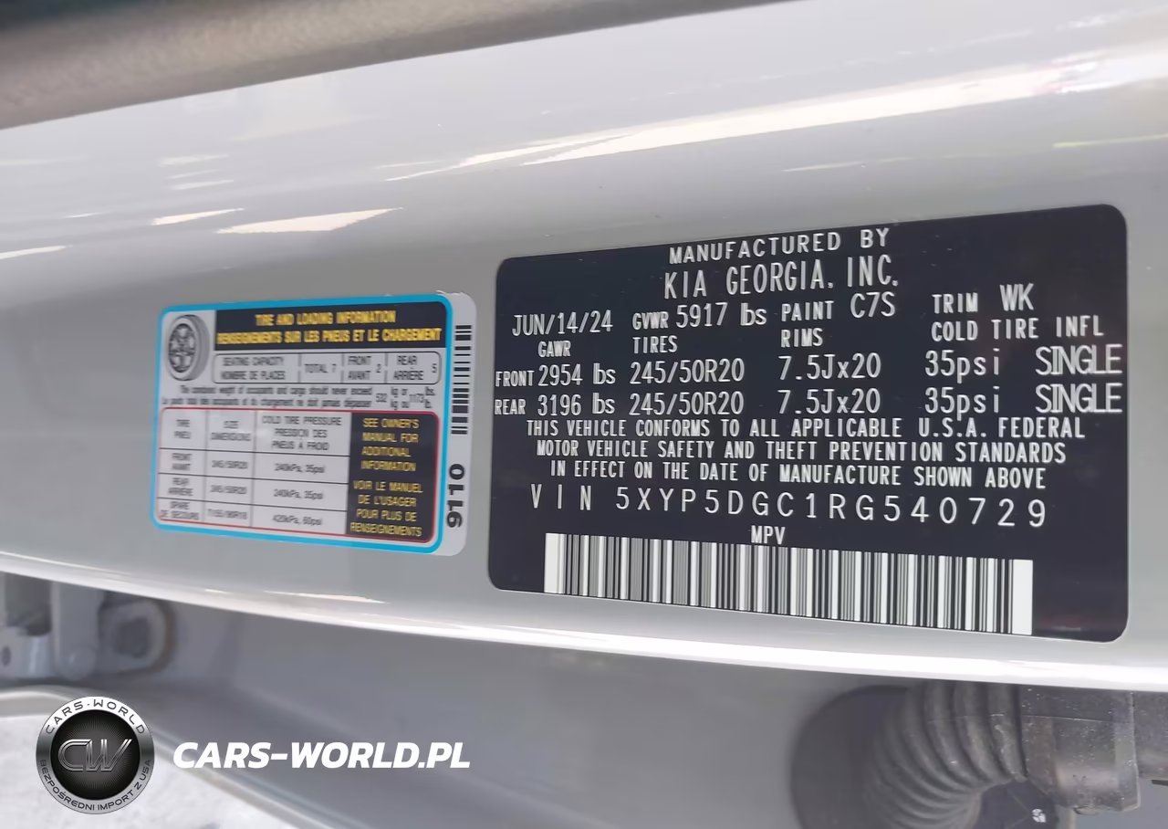 2024 Kia Telluride Sx X-Line VIN:5XYP5DGC1RG540729 - 9