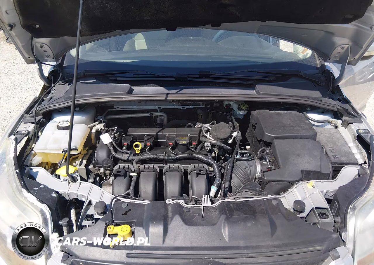 2013 Ford Focus Se VIN:1FADP3K27DL107280 - 10