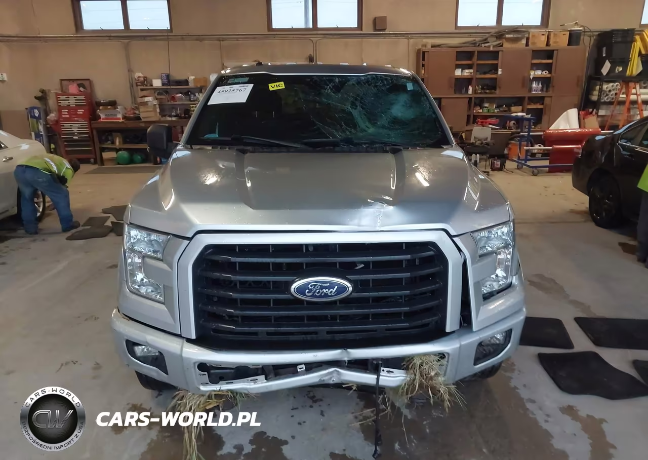 2015 Ford F-150 Xlt VIN:1FTEW1EP2FFA43776 - 12