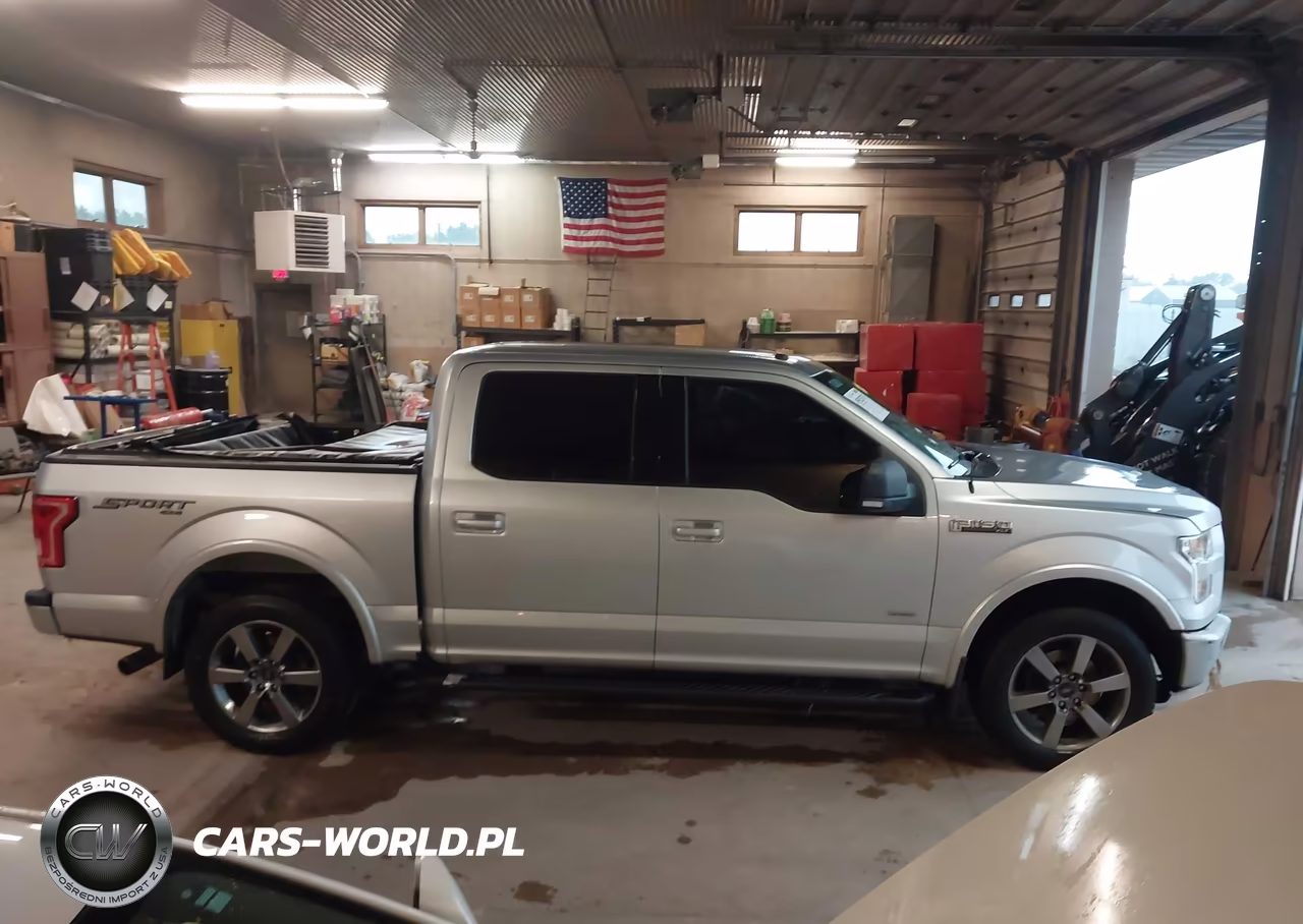 2015 Ford F-150 Xlt VIN:1FTEW1EP2FFA43776 - 13