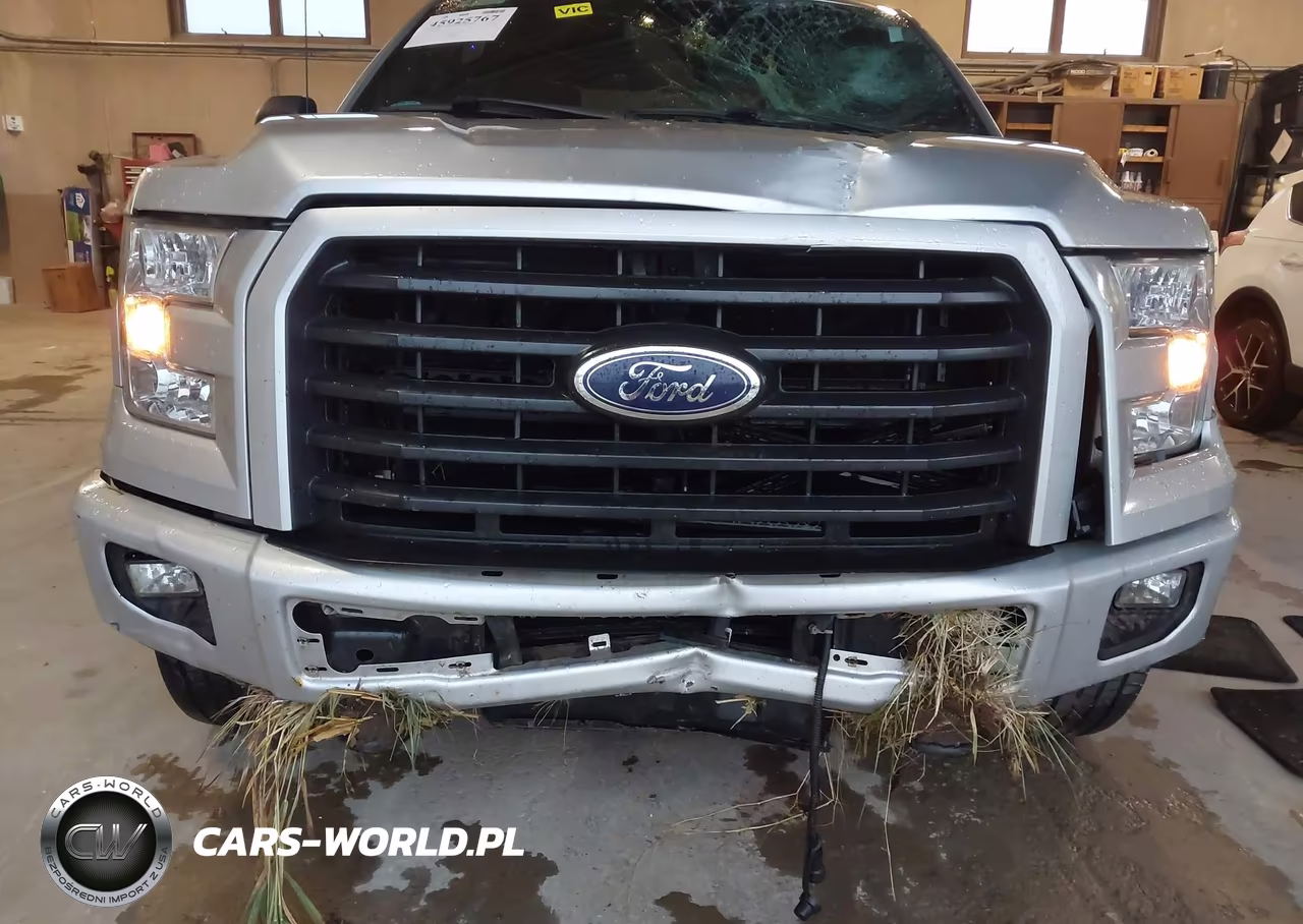 2015 Ford F-150 Xlt VIN:1FTEW1EP2FFA43776 - 6