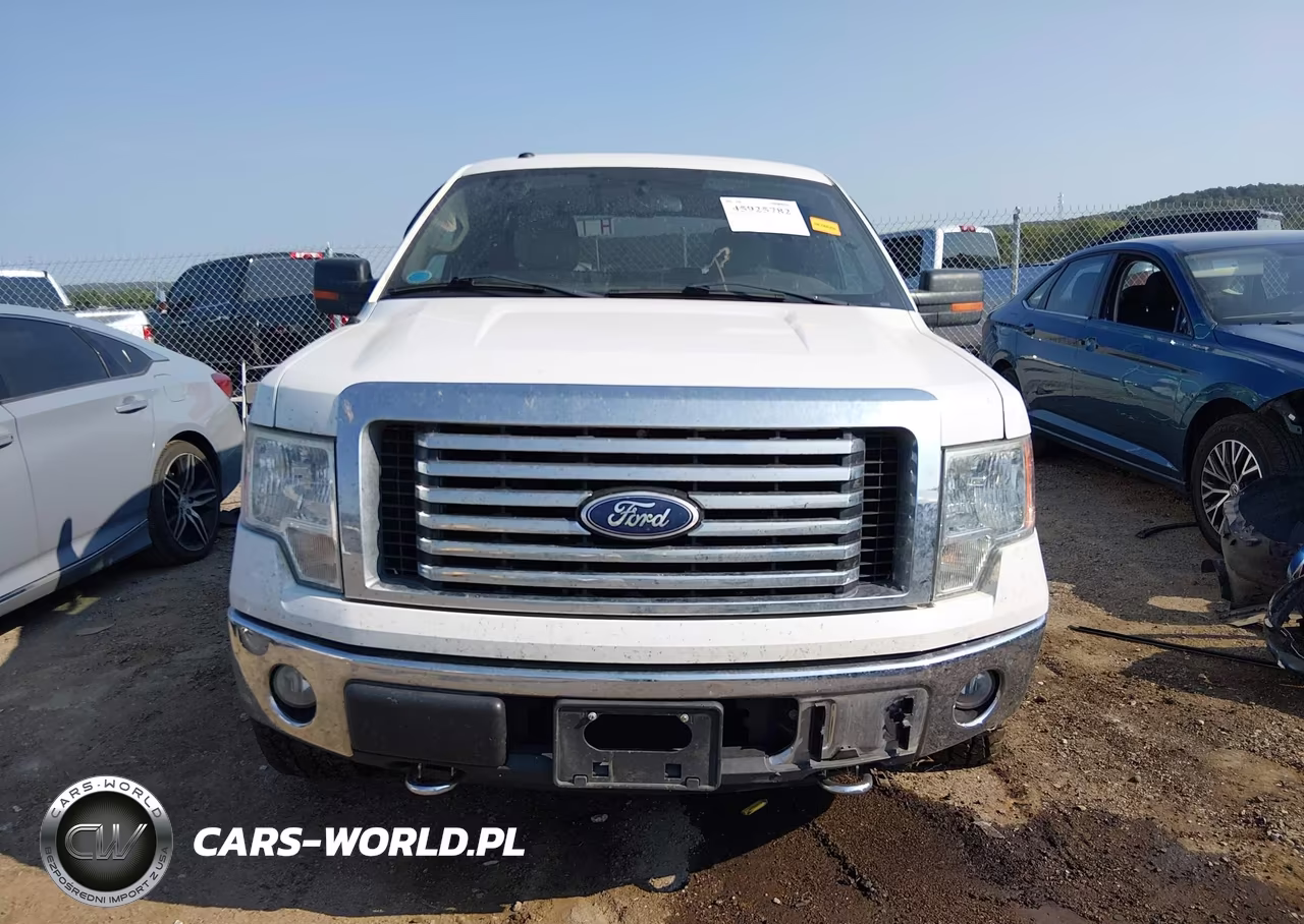 2010 Ford F-150 Fx4-Harley-Davidson-King Ranch-Lariat-Platinum-Xl-Xlt VIN:1FTFW1EV6AFB94289 - 12