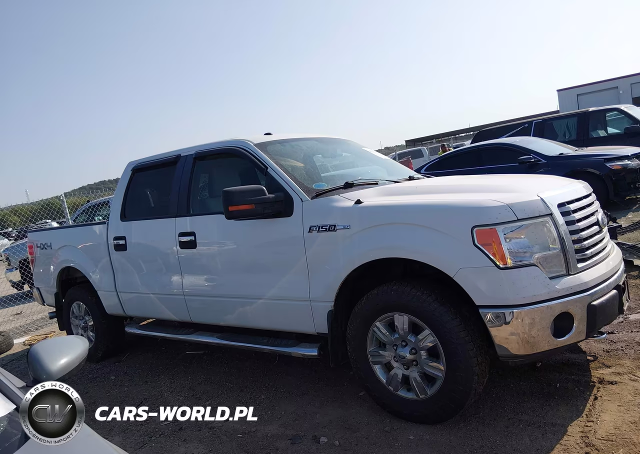 2010 Ford F-150 Fx4-Harley-Davidson-King Ranch-Lariat-Platinum-Xl-Xlt VIN:1FTFW1EV6AFB94289 - 13