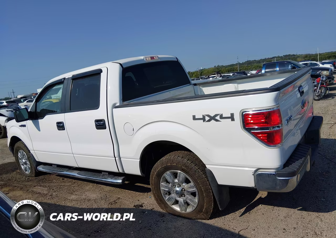 2010 Ford F-150 Fx4-Harley-Davidson-King Ranch-Lariat-Platinum-Xl-Xlt VIN:1FTFW1EV6AFB94289 - 14