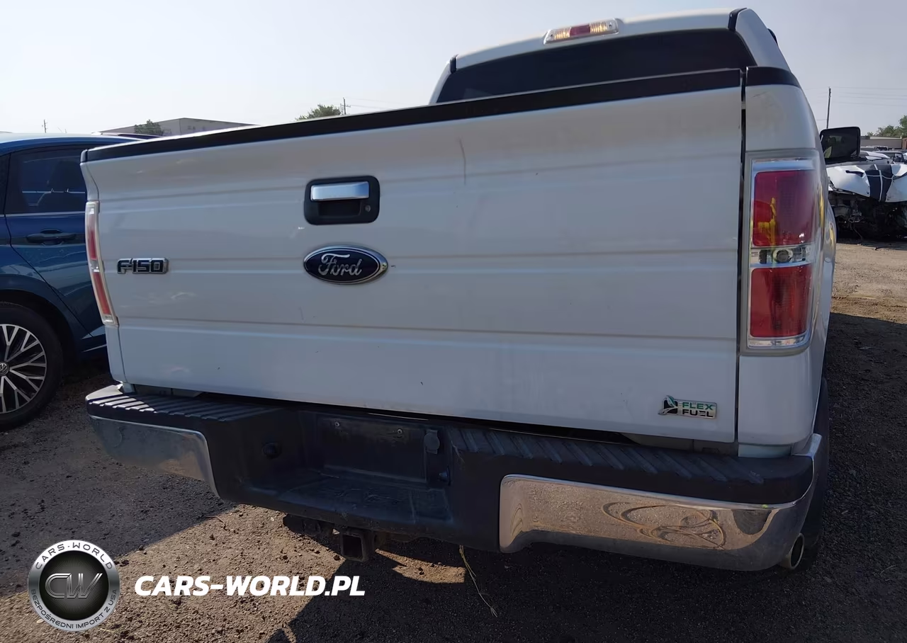 2010 Ford F-150 Fx4-Harley-Davidson-King Ranch-Lariat-Platinum-Xl-Xlt VIN:1FTFW1EV6AFB94289 - 16