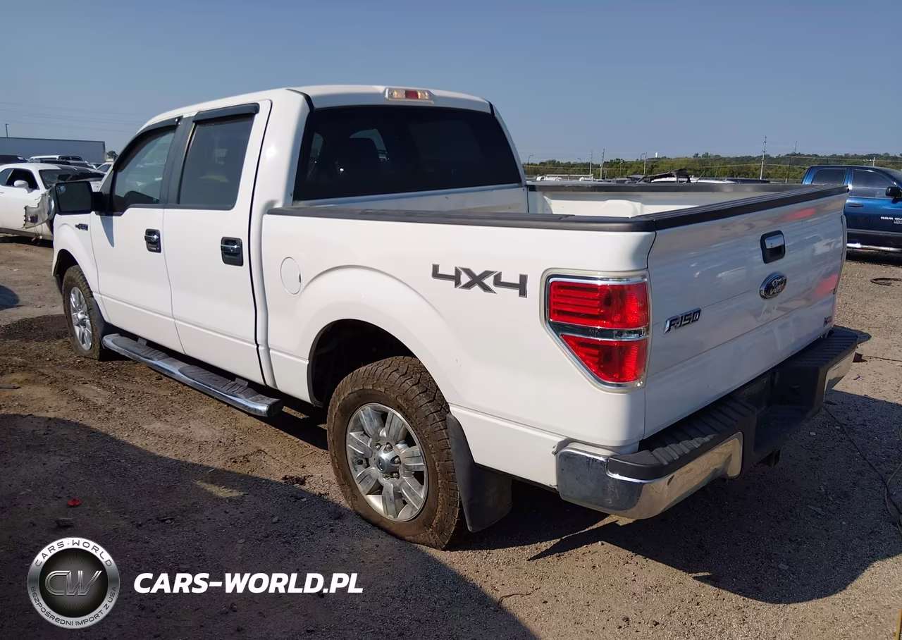 2010 Ford F-150 Fx4-Harley-Davidson-King Ranch-Lariat-Platinum-Xl-Xlt VIN:1FTFW1EV6AFB94289 - 3