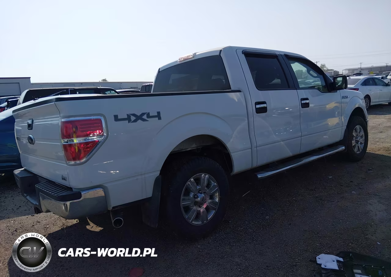2010 Ford F-150 Fx4-Harley-Davidson-King Ranch-Lariat-Platinum-Xl-Xlt VIN:1FTFW1EV6AFB94289 - 4