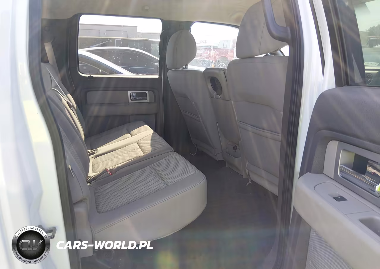 2010 Ford F-150 Fx4-Harley-Davidson-King Ranch-Lariat-Platinum-Xl-Xlt VIN:1FTFW1EV6AFB94289 - 8