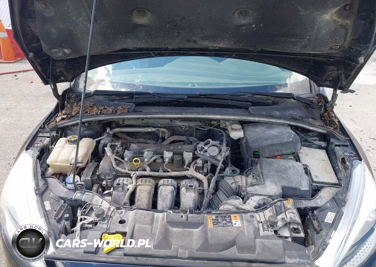 2017 Ford Focus Se VIN:1FADP3K22HL323320 - 10