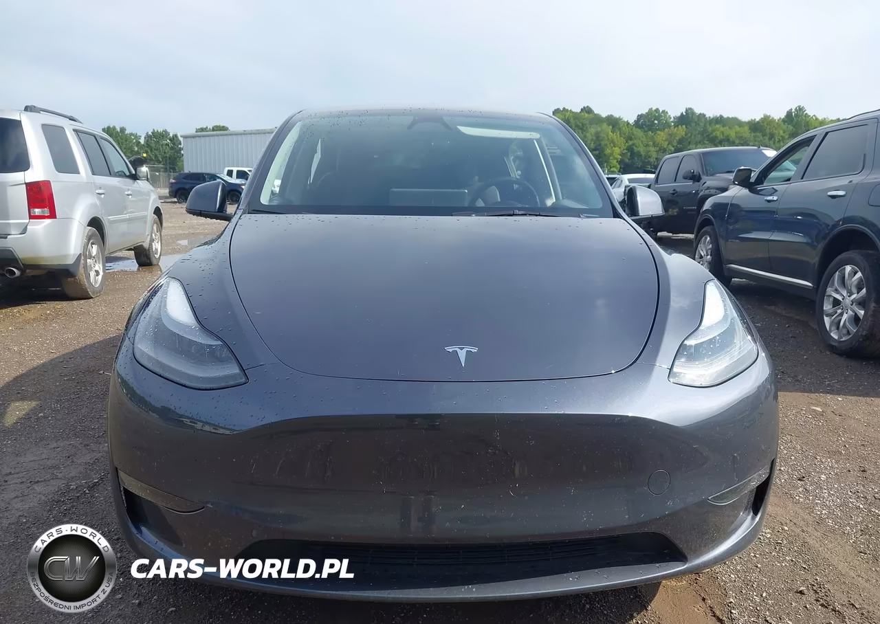 2023 Tesla Model Y Awd-Long Range Dual Motor All-Wheel Drive VIN:7SAYGDEE7PF912973 - 10