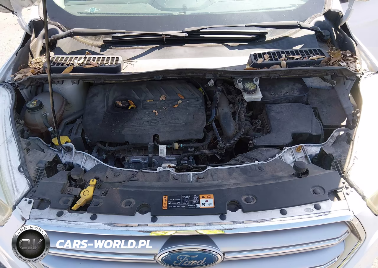 2017 Ford Escape Se VIN:1FMCU0GD4HUC27637 - 10