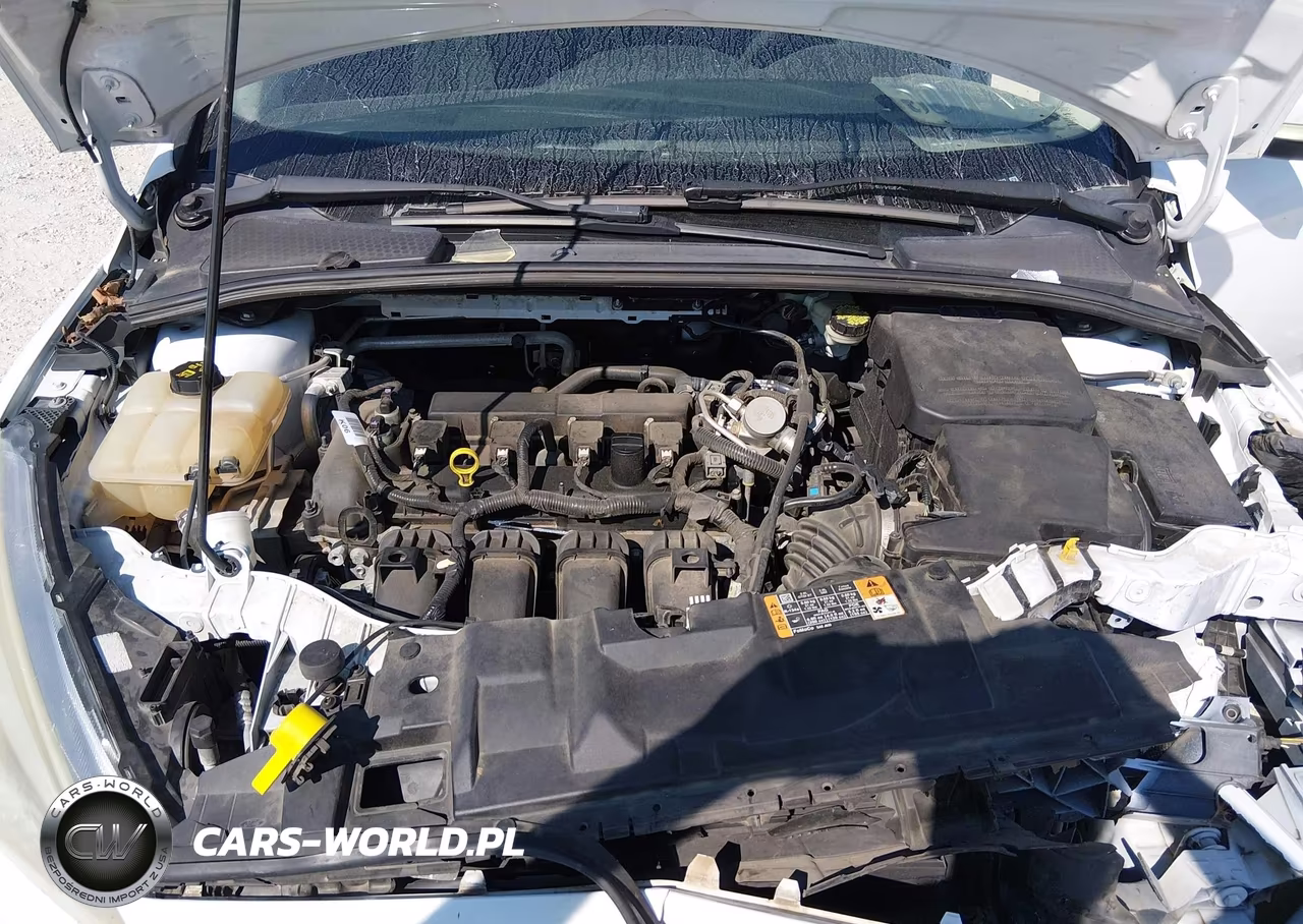 2016 Ford Focus Se VIN:1FADP3F24GL330813 - 10