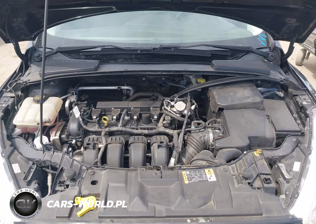 2016 Ford Focus Se VIN:1FADP3K28GL407088 - 10
