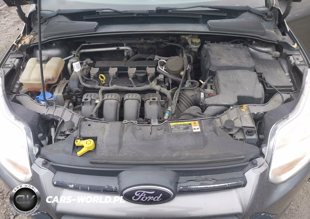 2014 Ford Focus Se VIN:1FADP3F28EL266451 - 10
