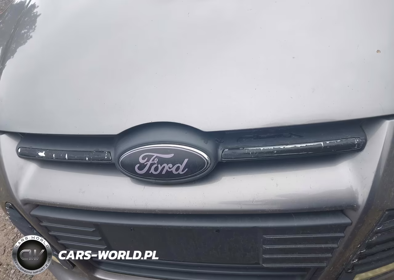 2014 Ford Focus Se VIN:1FADP3F28EL266451 - 17