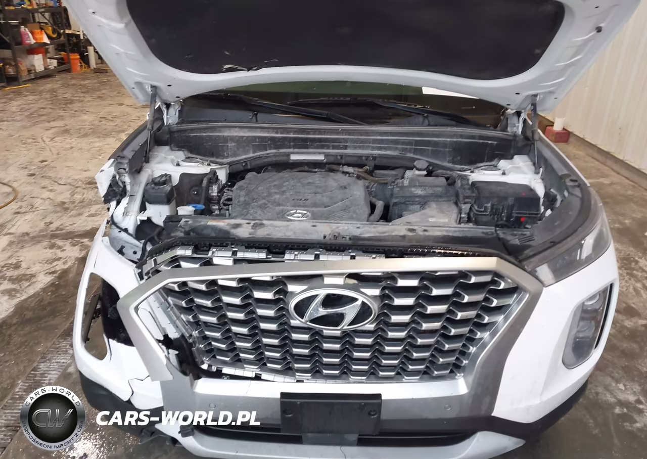 2021 Hyundai Palisade Sel VIN:KM8R3DHE4MU246680 - 10
