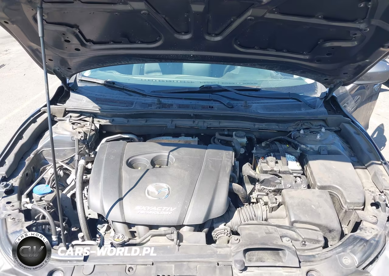 2016 Mazda Mazda3 I Sport VIN:JM1BM1U78G1289689 - 10