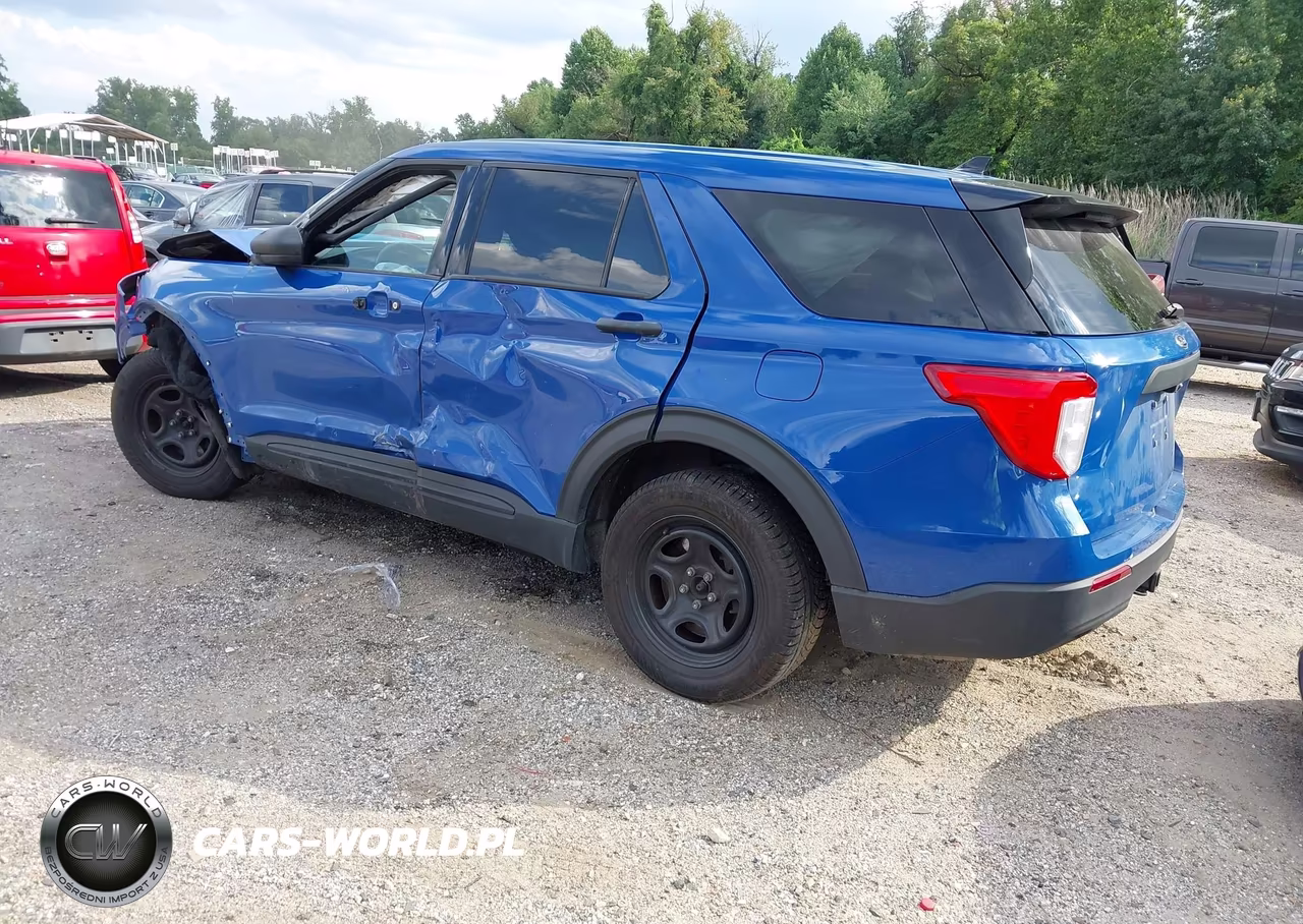 2020 Ford Police Interceptor Utility VIN:1FM5K8AW9LGC14591 - 3