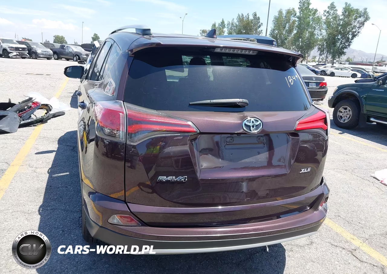 2016 Toyota Rav4 Xle VIN:2T3WFREVXGW293400 - 16