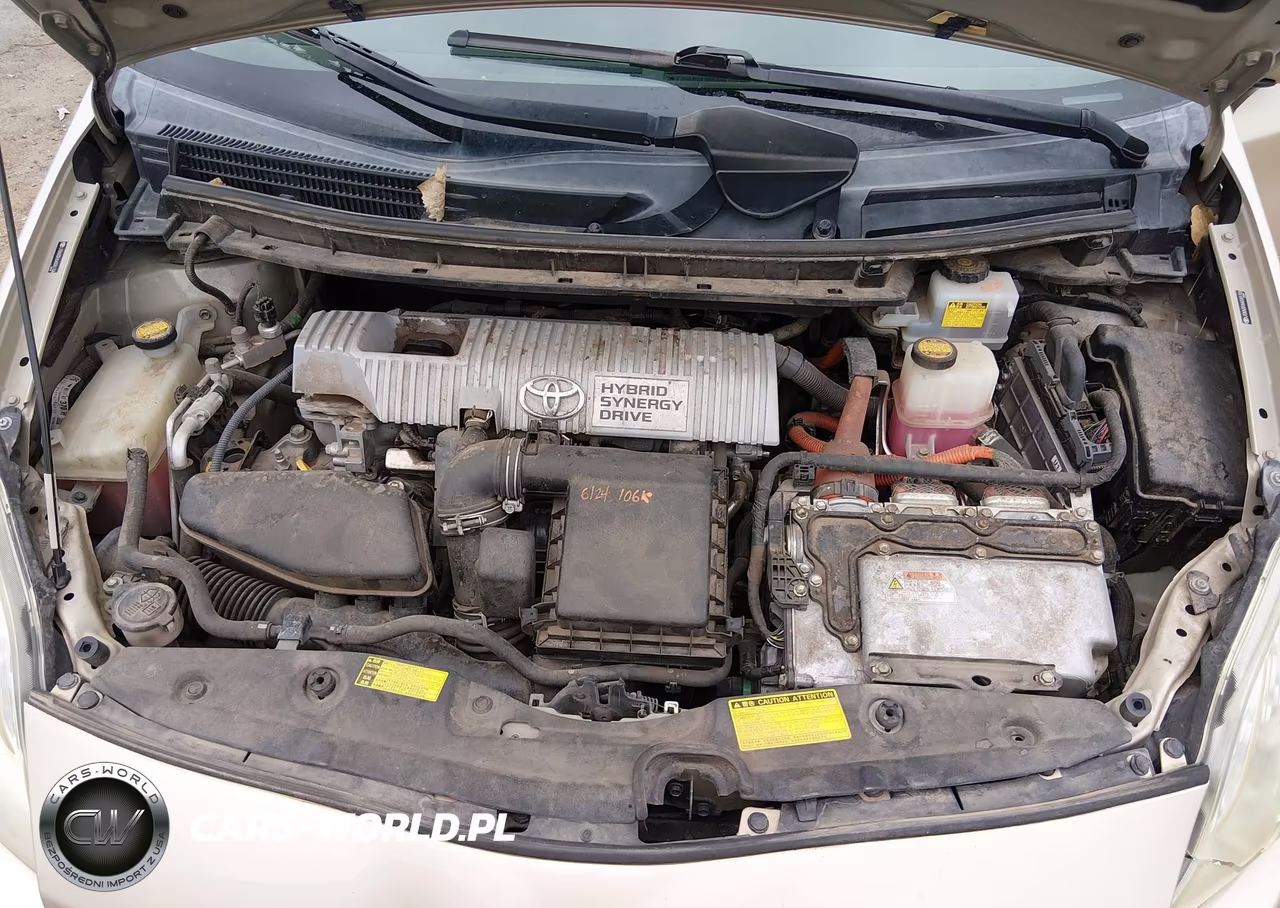 2010 Toyota Prius Iv VIN:JTDKN3DU6A0081306 - 10