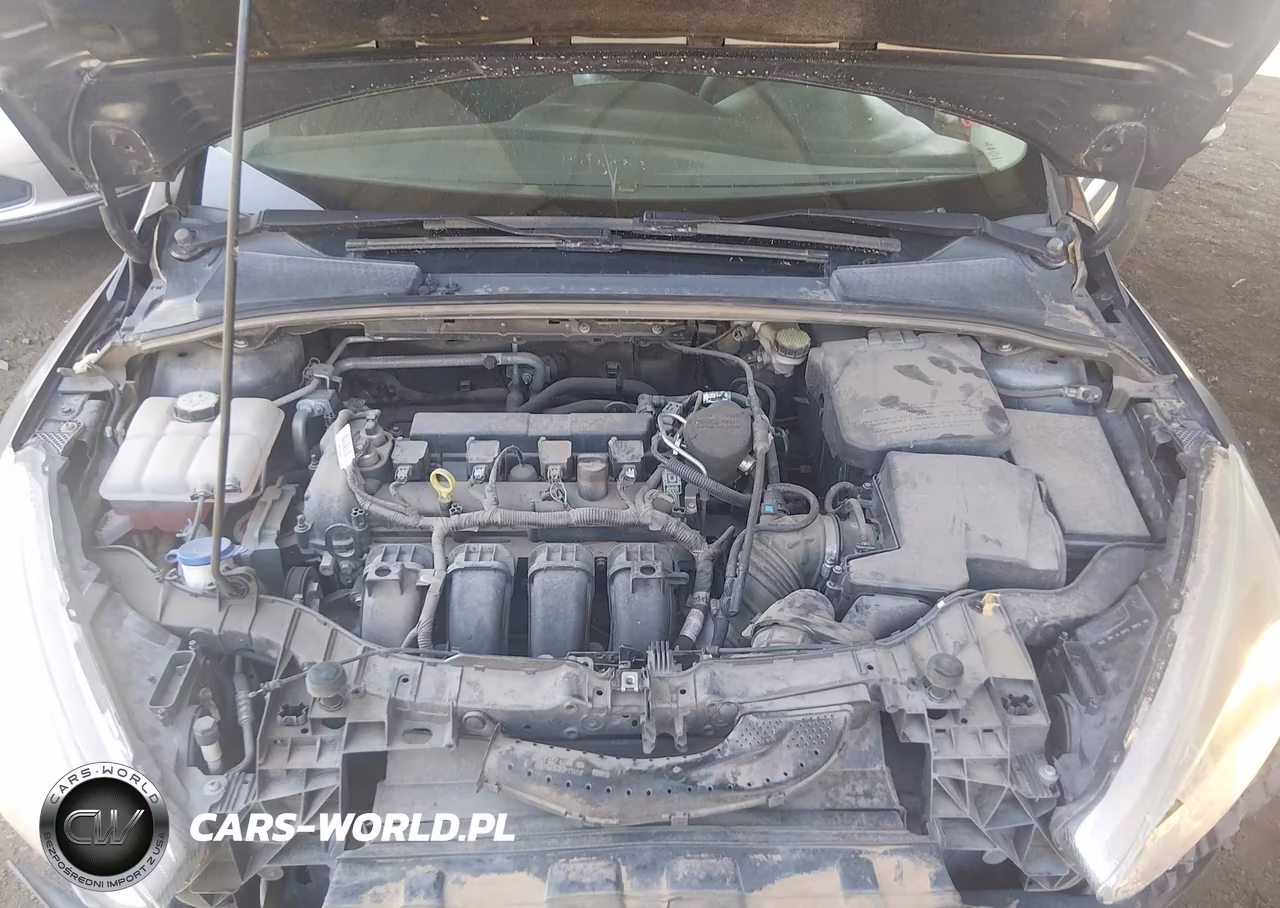 2015 Ford Focus Se VIN:1FADP3K20FL203917 - 10