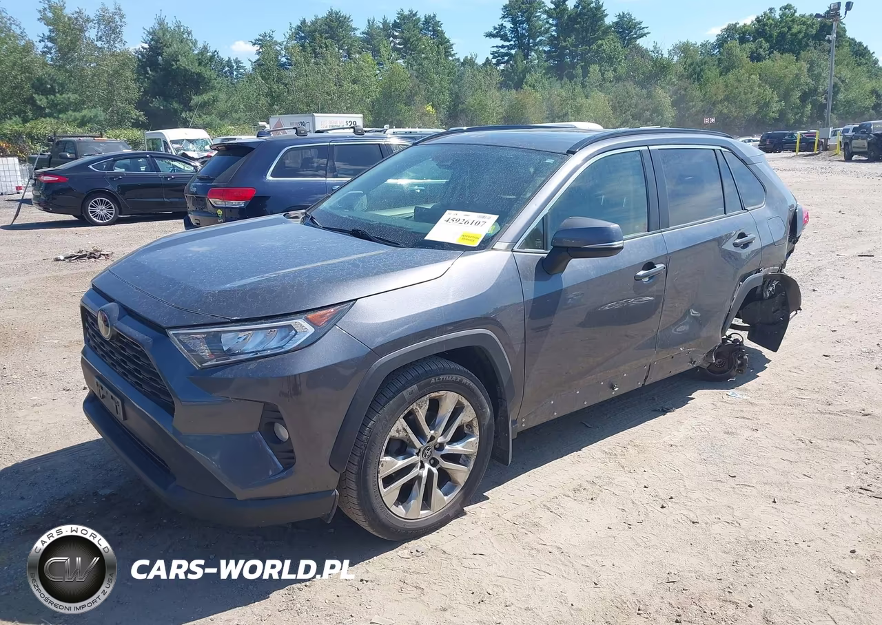 2019 Toyota Rav4 Xle Premium VIN:JTMA1RFVXKD516077 - 2