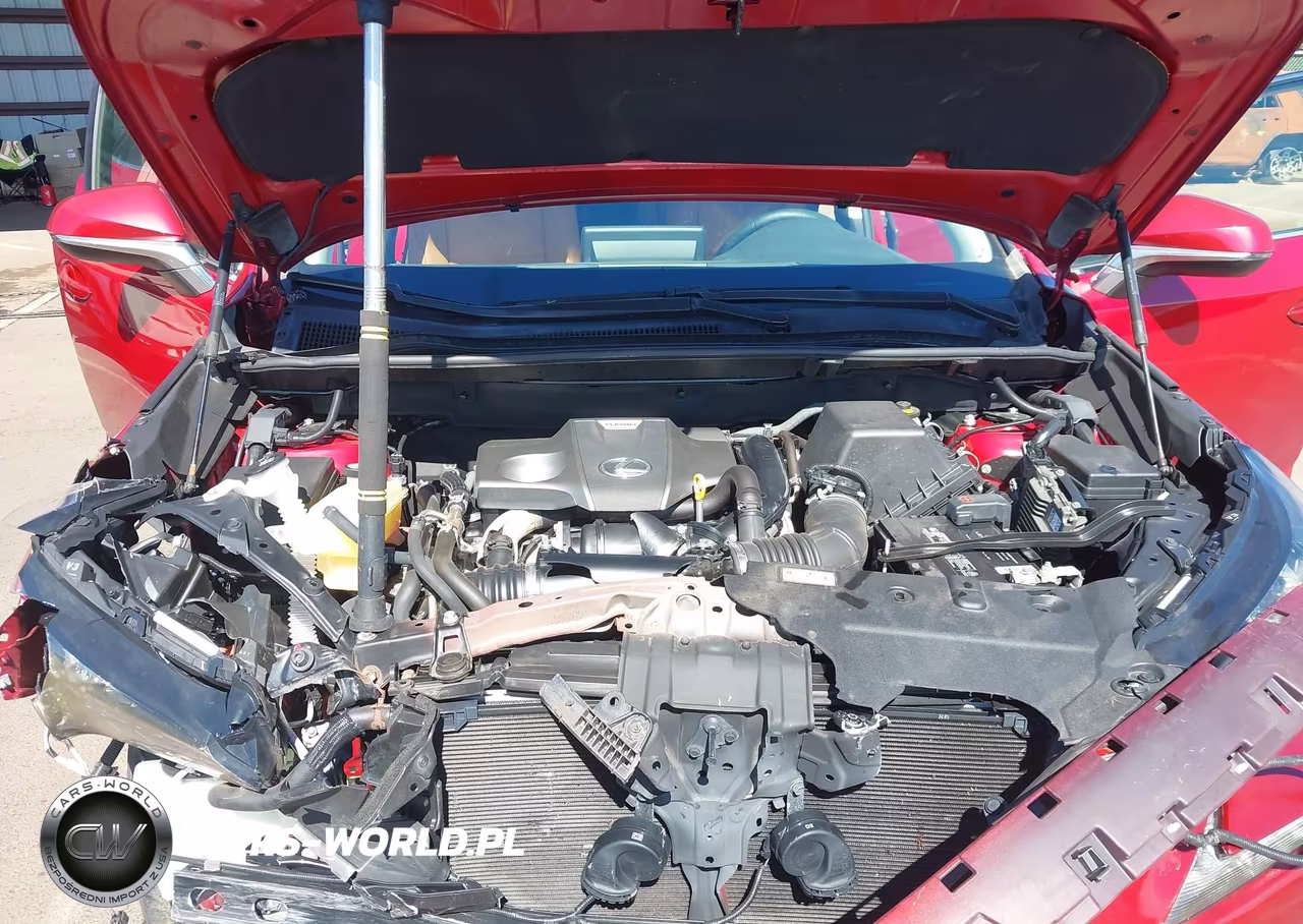 2019 Lexus Nx 300 F Sport VIN:JTJYARBZ0K2131742 - 10