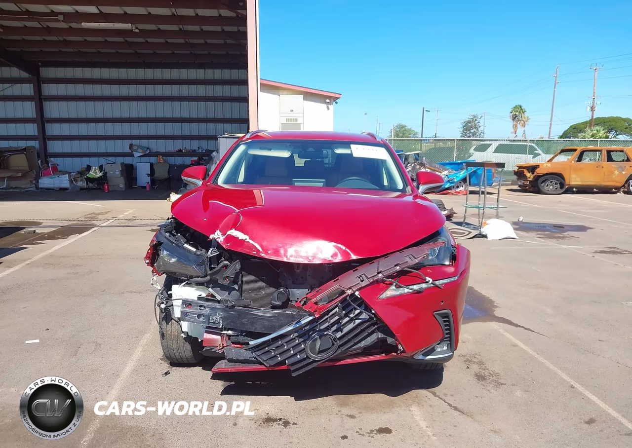 2019 Lexus Nx 300 F Sport VIN:JTJYARBZ0K2131742 - 13