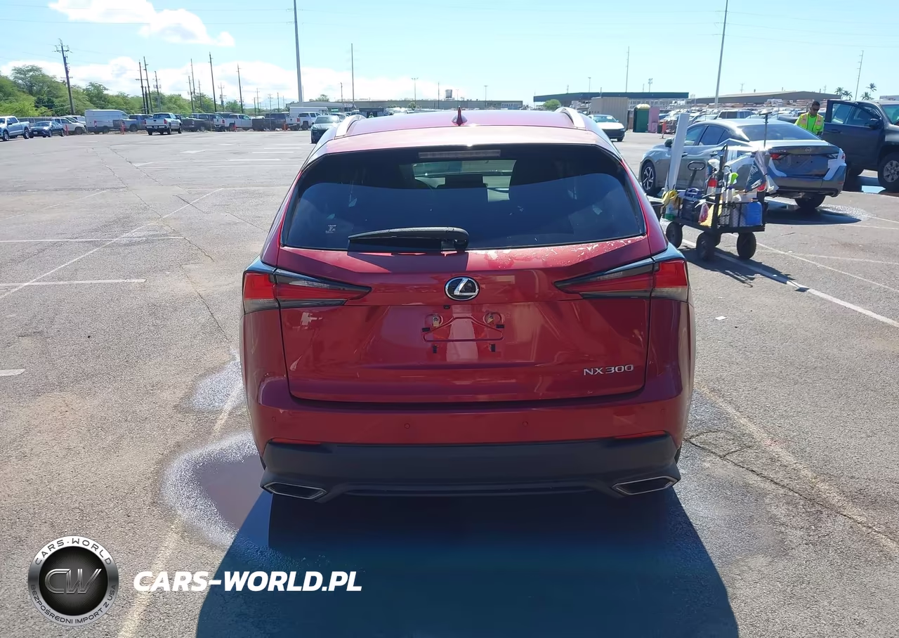 2019 Lexus Nx 300 F Sport VIN:JTJYARBZ0K2131742 - 17